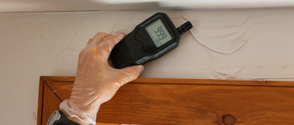 Damp, Mould and Moisture: A Homebuyer’s Guide