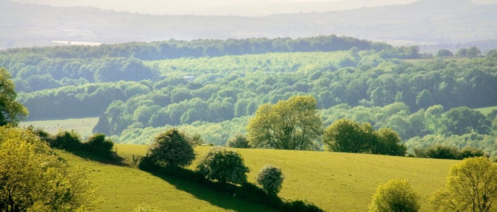 Moving to Cinderford: A Homebuyer’s Guide to Property & Surveys