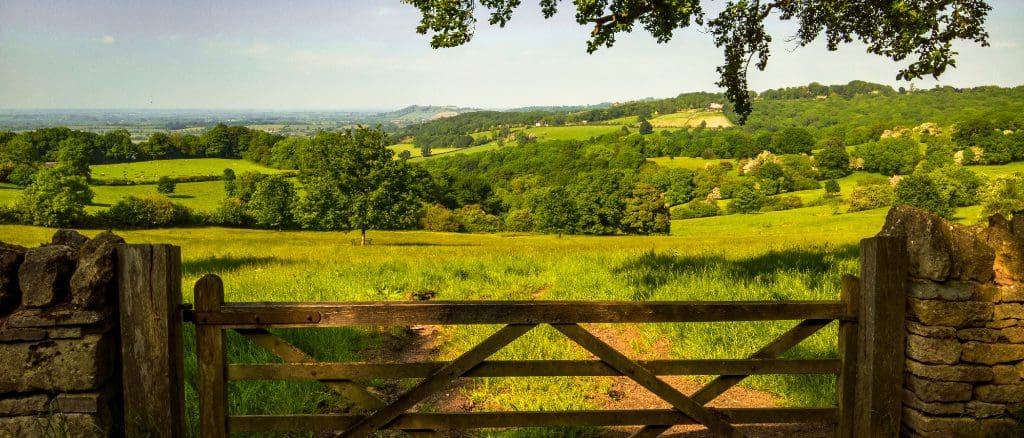 Moving to Highnam: A Homebuyer’s Guide to Property & Surveys