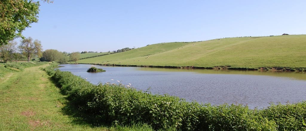 Moving to Newent: A Homebuyer’s Guide to Property & Surveys