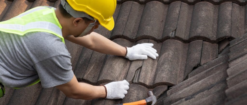 Roof Condition & Defects