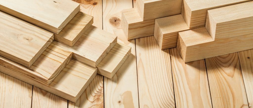 Timber Issues: Rot, Woodworm & Decay