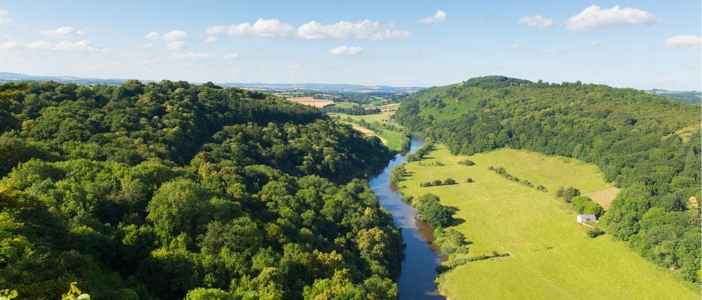 Moving to Coleford: A Homebuyer’s Guide to Property & Surveys